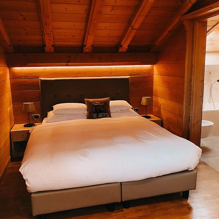 Mountain Chalet Pra Ronch Сельва-ди-Валь-Гардена Экстерьер фото