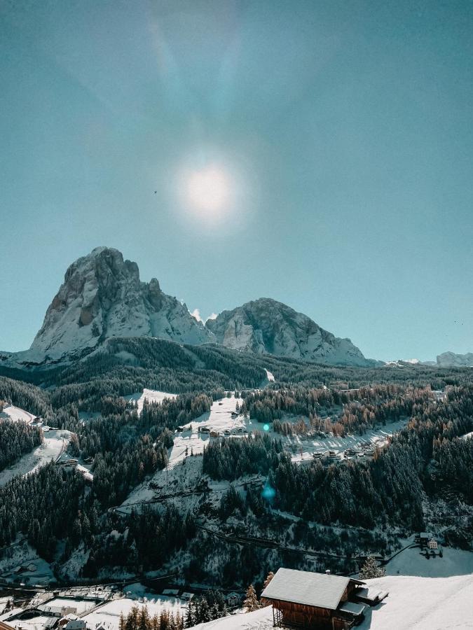 Mountain Chalet Pra Ronch Сельва-ди-Валь-Гардена Экстерьер фото