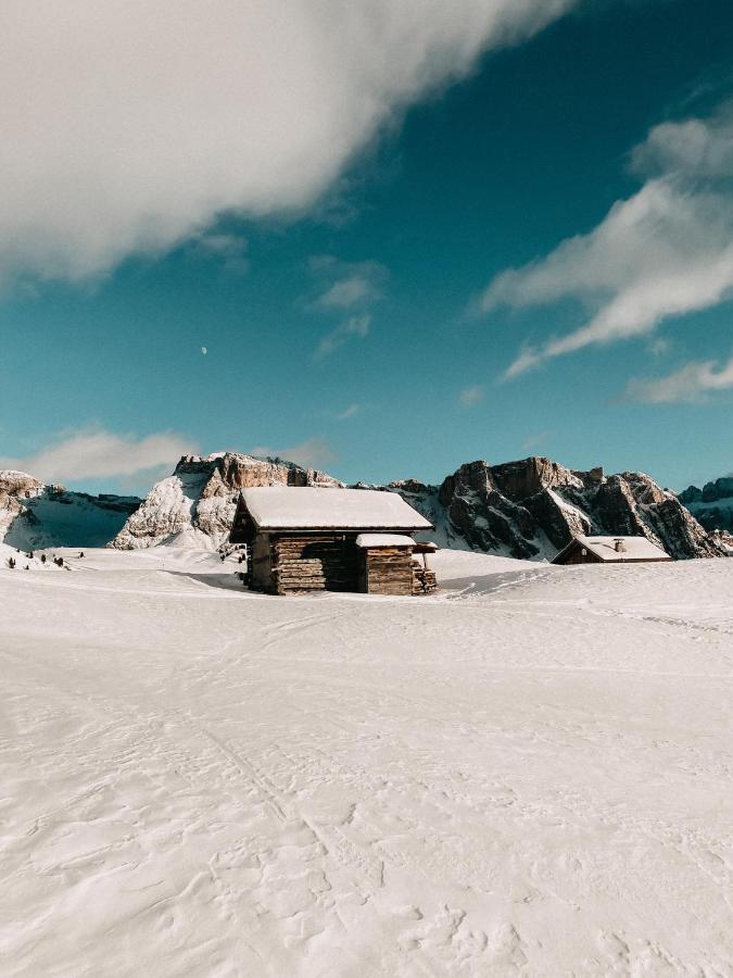 Mountain Chalet Pra Ronch Сельва-ди-Валь-Гардена Экстерьер фото