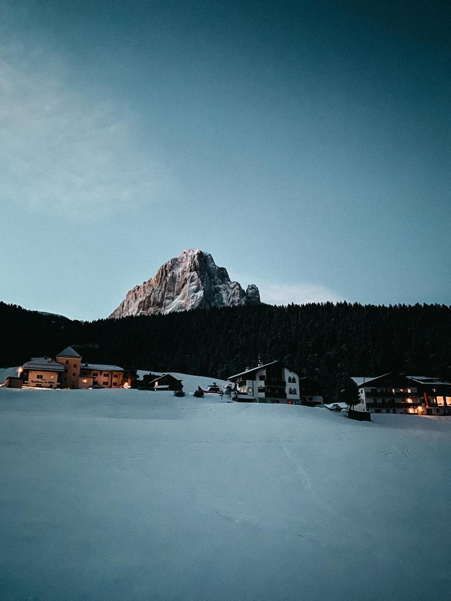 Mountain Chalet Pra Ronch Сельва-ди-Валь-Гардена Экстерьер фото